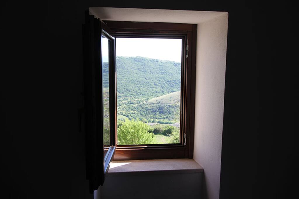 Vista camera