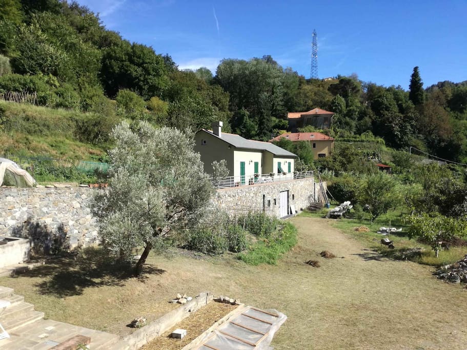 AGRITURISMO VERDURE NATURALI