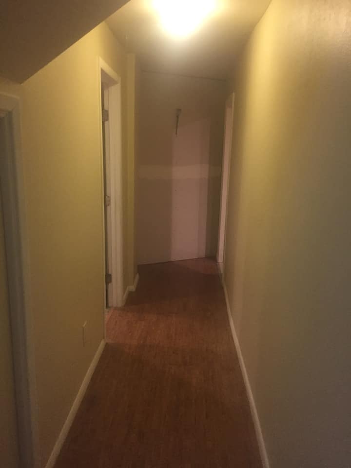 Large One Bedroom apartment, center location. Apartments for Rent in