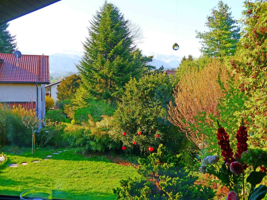 Riesiges Süd-Fenster - Sicht auf die Kampenwand