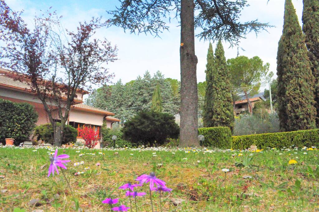 Giardino