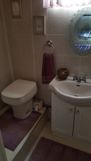 Bathroom sink with direct dump RV potty..
