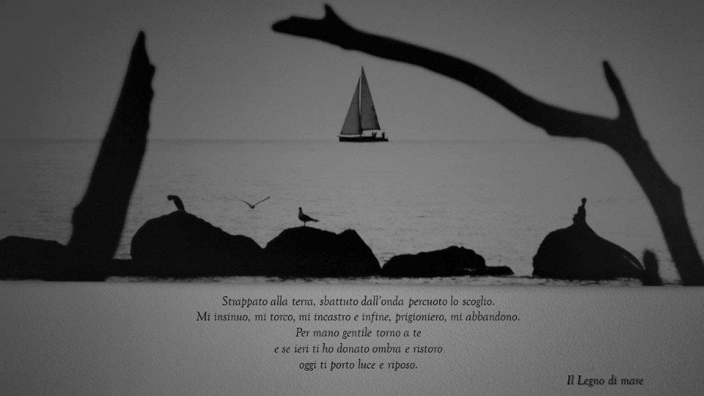 Airbnb con migliori performance: "Il legno di mare" apartment a La Spezia