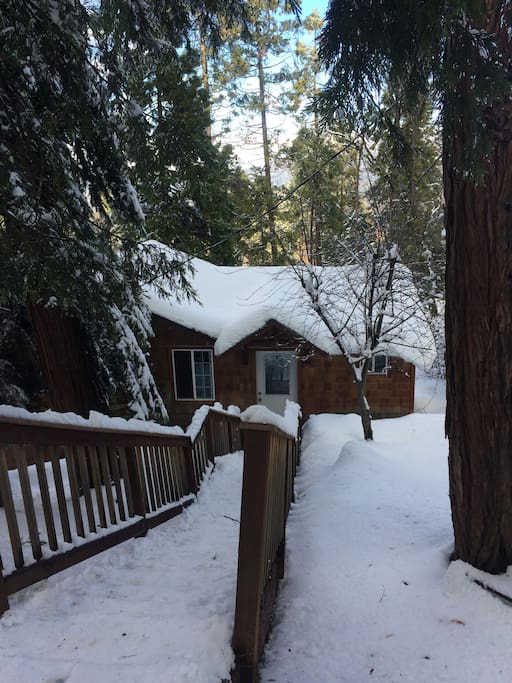 Snow, snow, snow at Treetop Cabin!