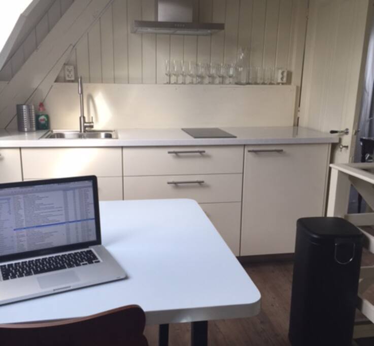 The kitchen is equipped with a dishwasher, microwave, fridge, a stove with 2 burners, a coffee machine and watercooker.