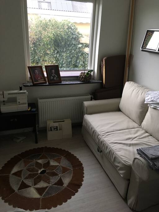 Gæsteværelset med sovesofa, str. 120x200 cm