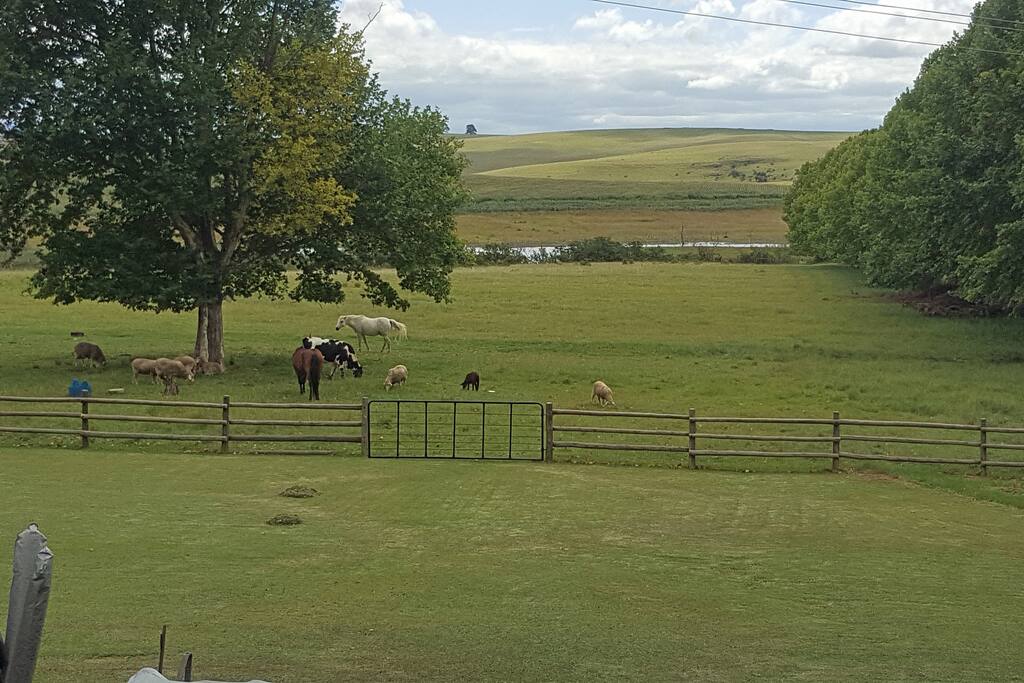 Farm Experience