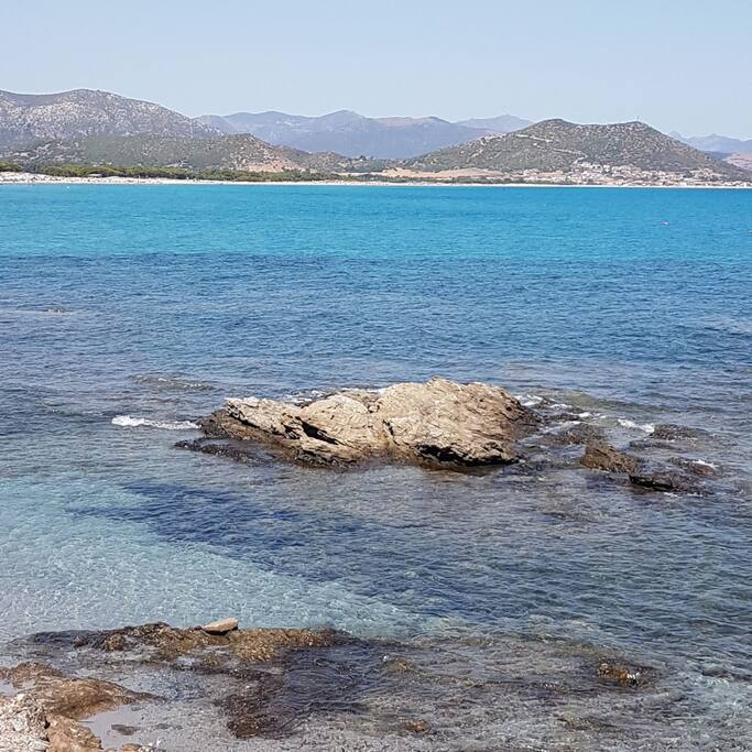 mare