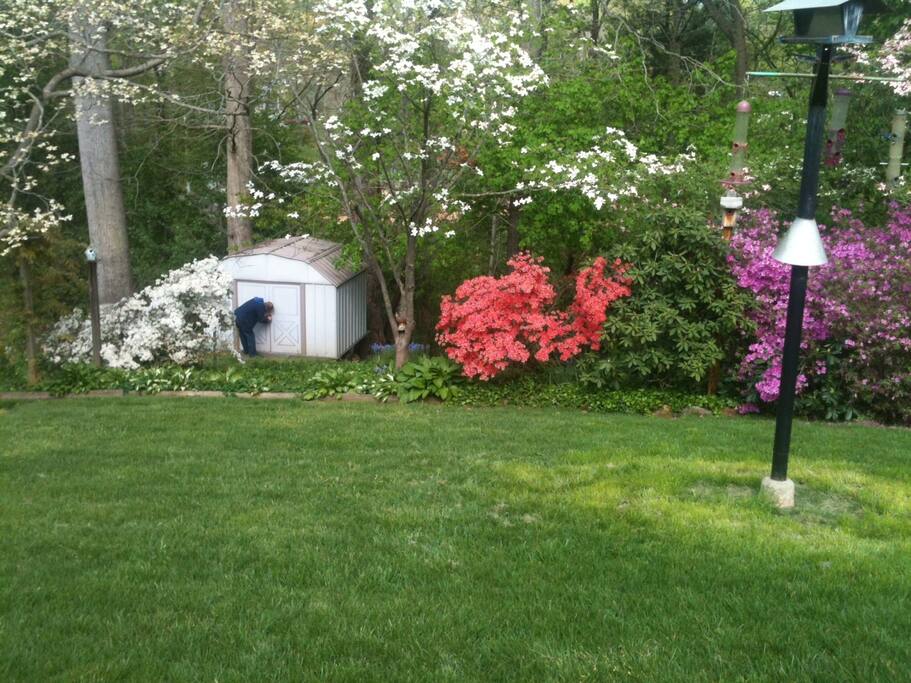 Backyard in spring. Trail goes down to a creek, with a park beyond.