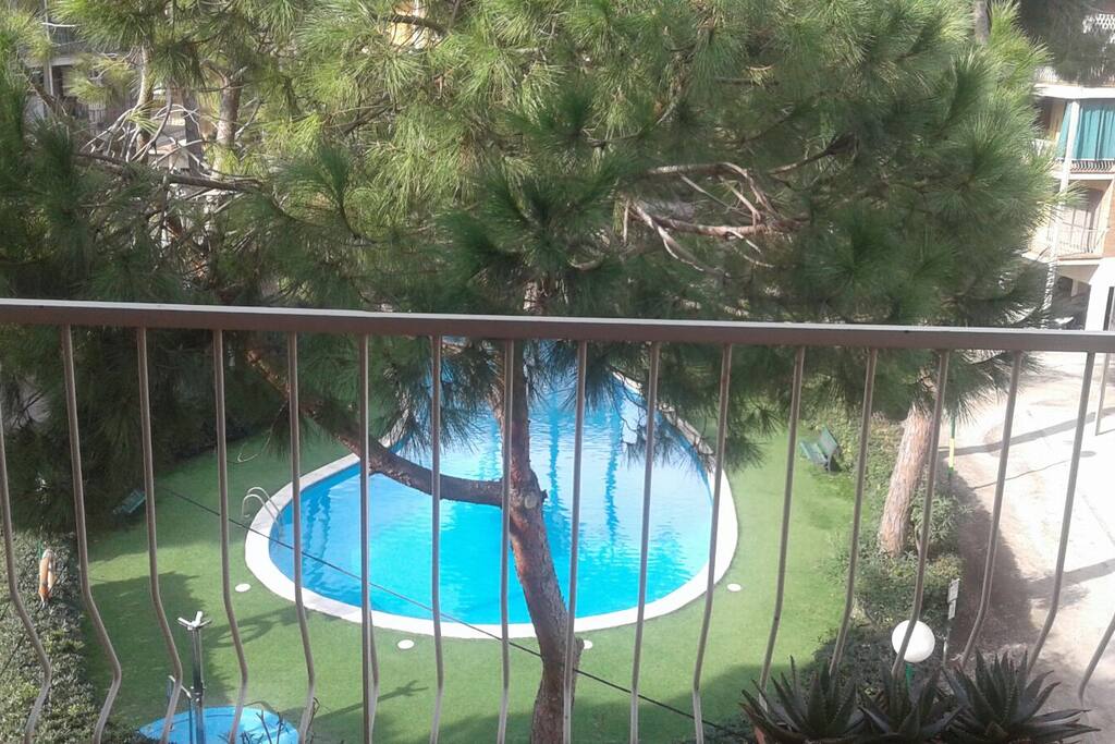 Picina y zona común