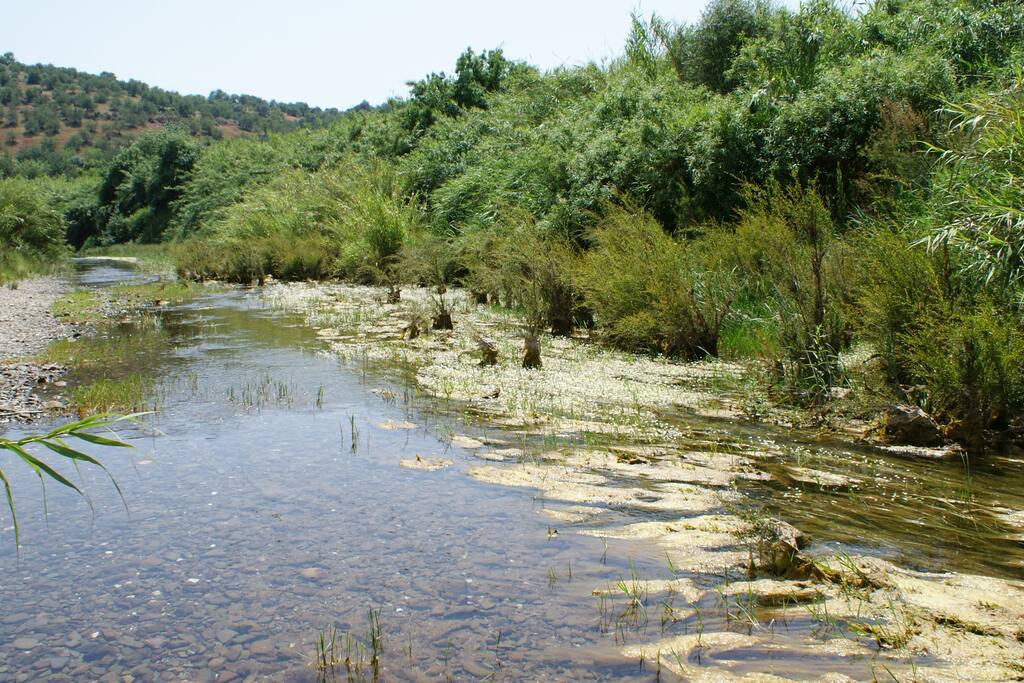 Descobrir a natureza