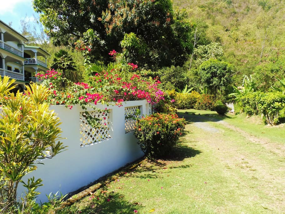 Front Gate with beautiful flowers