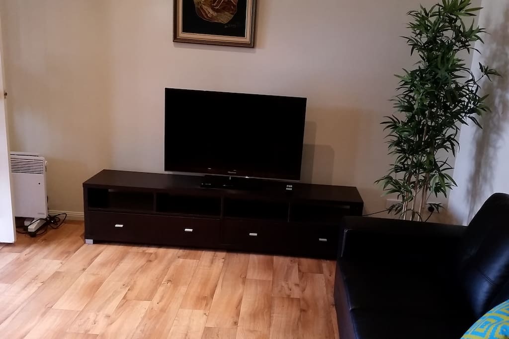 Large flat screen tv