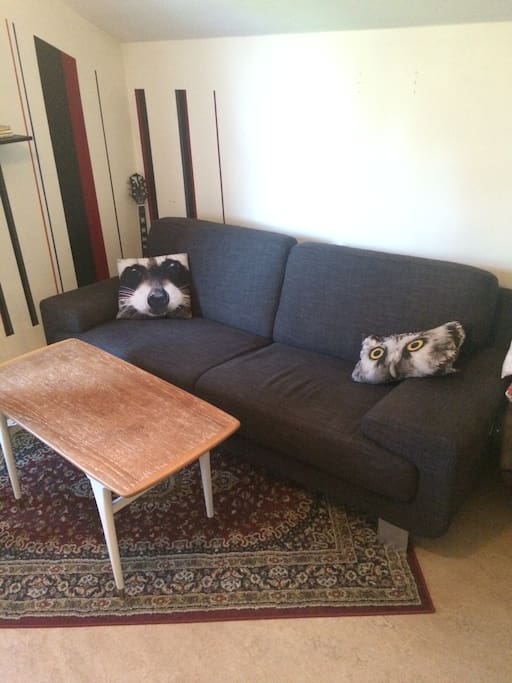 Your room 2