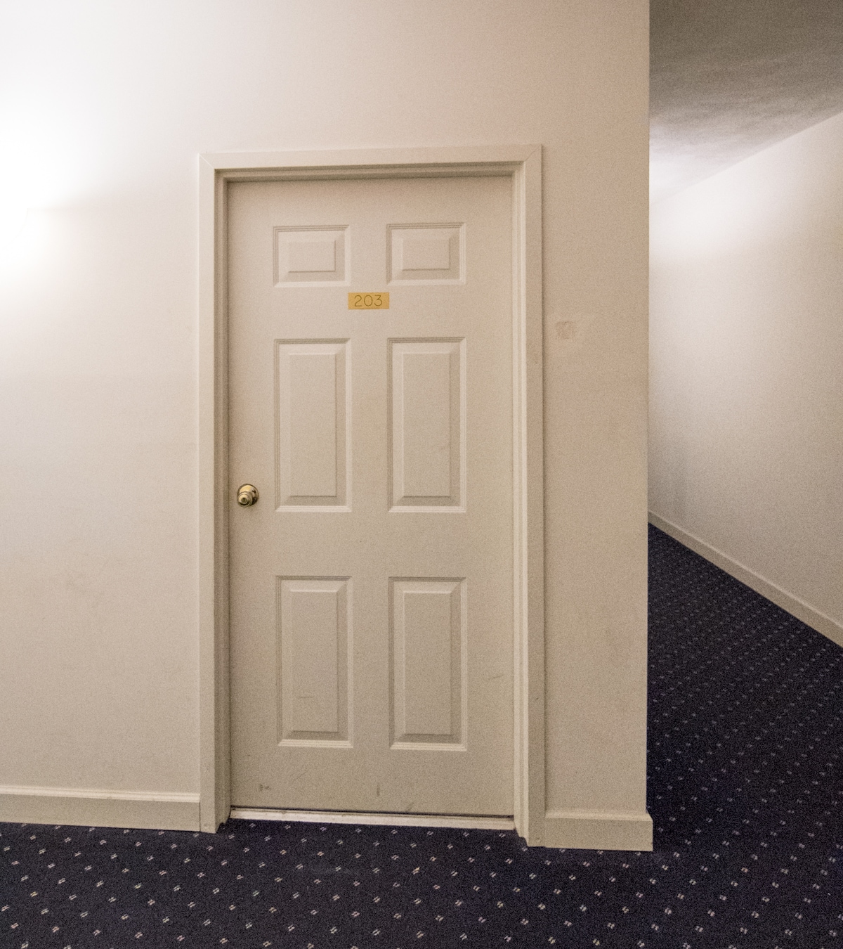 A white door marked with the number 203 is positioned at the end of a narrow corridor. The corridor features light-colored walls and a patterned carpet, creating a simple and welcoming entrance.