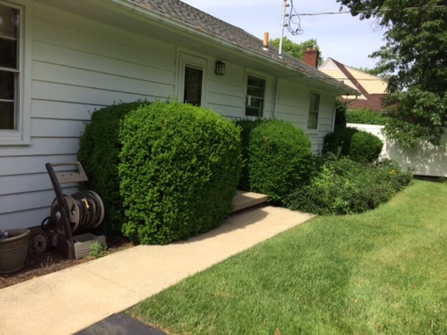 BACK OF HOUSE