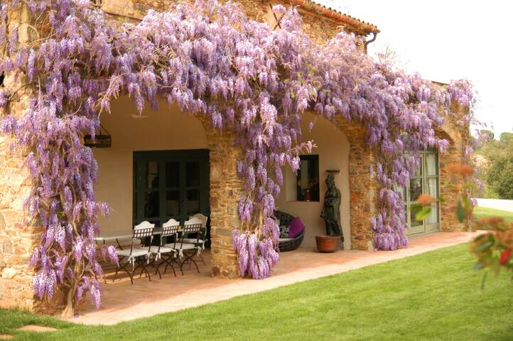 Fun, sea and relax in the Catalan Tuscany gallery image 2