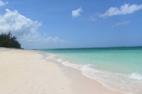 Sanctuary by the Sea