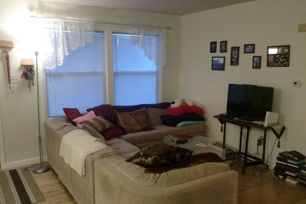 Living area - couch has pullout bed - no TV service only selection of DVD's
