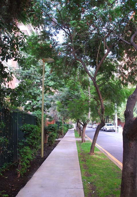 calle El Dante