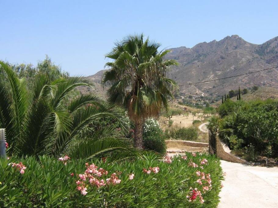 jardin privatif