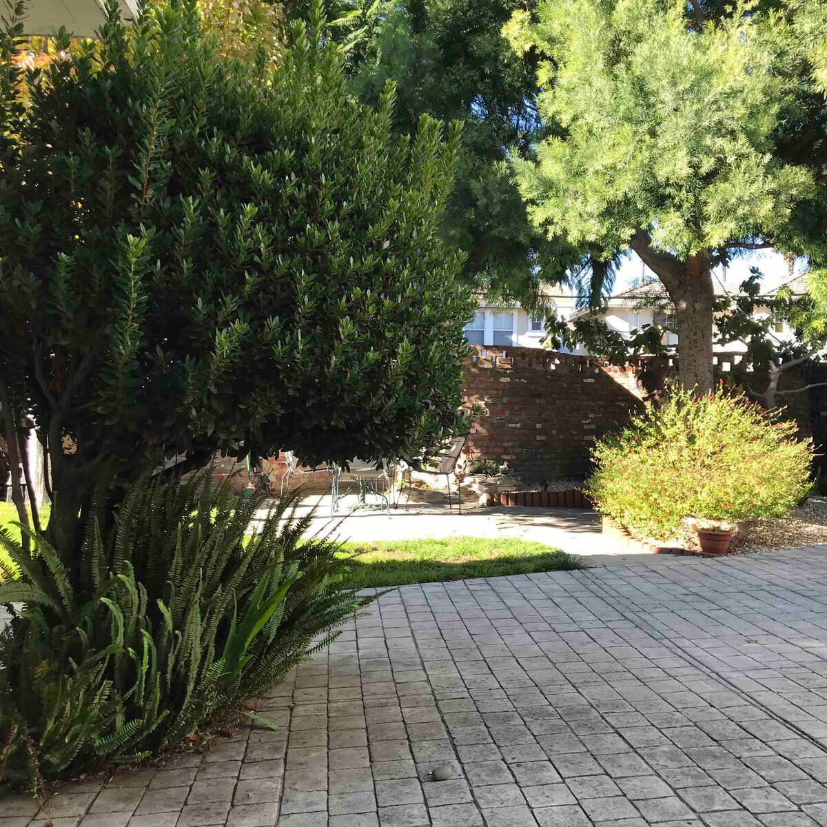 A garden area is displayed, featuring well-maintained greenery including a large bush and smaller plants. A paved stone pathway leads through the space, where a patio set is partially visible among the trees and shrubs, creating a serene outdoor environment.