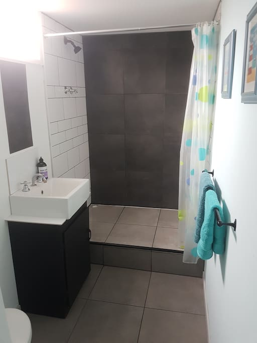 Ensuite shower room