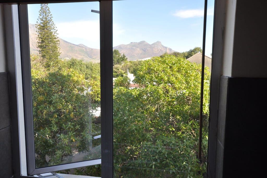 View from kitchen