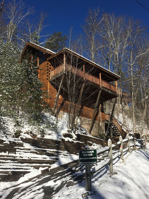 Sugar Bear In Winter Time Snow - Paradise!!