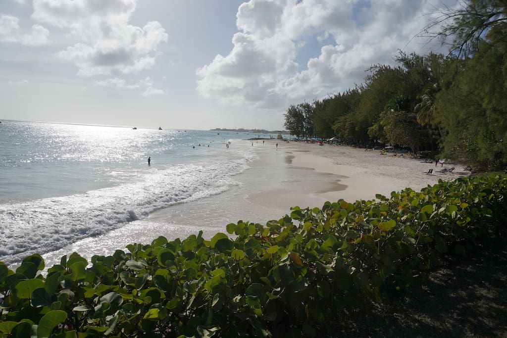 Popular Miami Beach - 5 minutes by car from apartment!