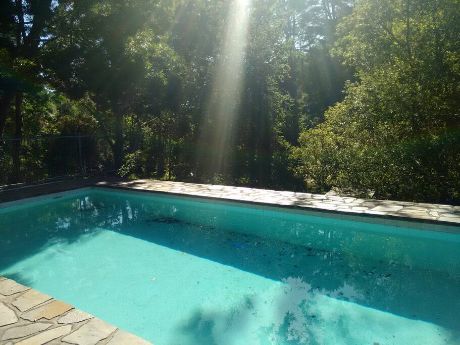 Cool off in the pool on hot days
