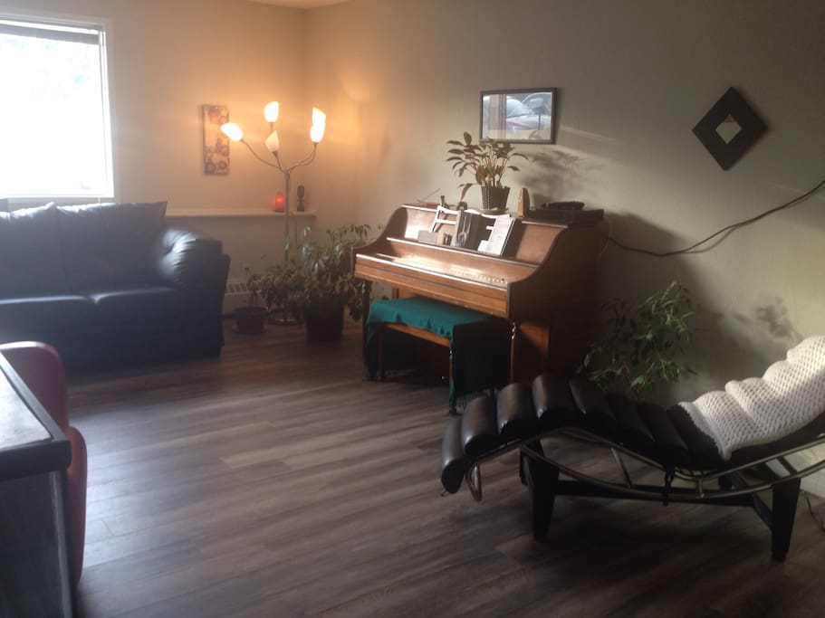 Living room and pull out double couch