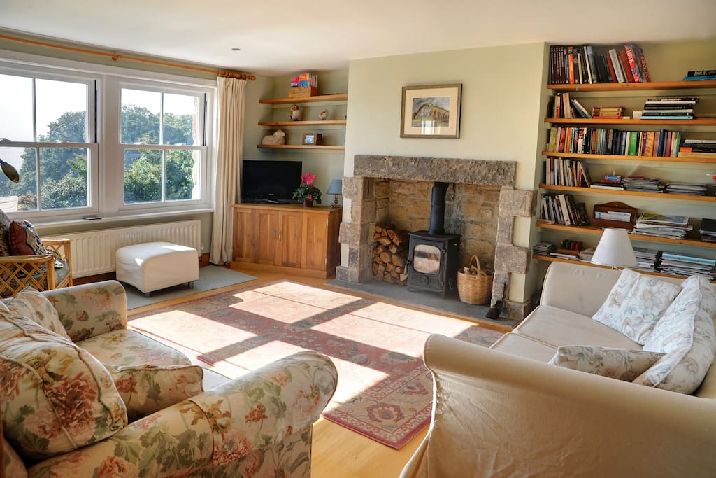 Wood burning stove fuel supplied
