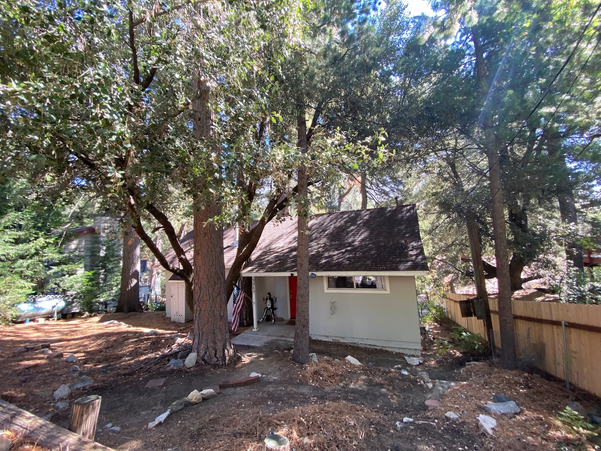 The exterior of a single-story home is surrounded by tall trees, providing a natural canopy. The structure features a sloped roof and a small front porch area. A gravel pathway leads to the entrance and a wooden fence borders the property.