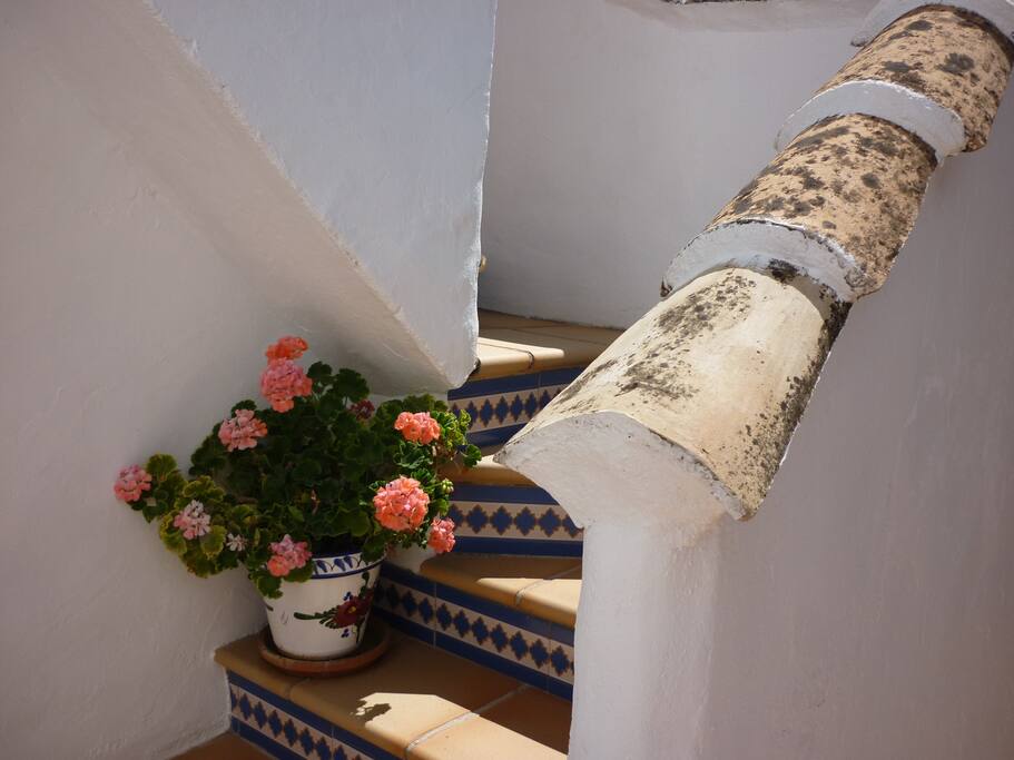 Outside staircase to the salon, Casita Galgo
