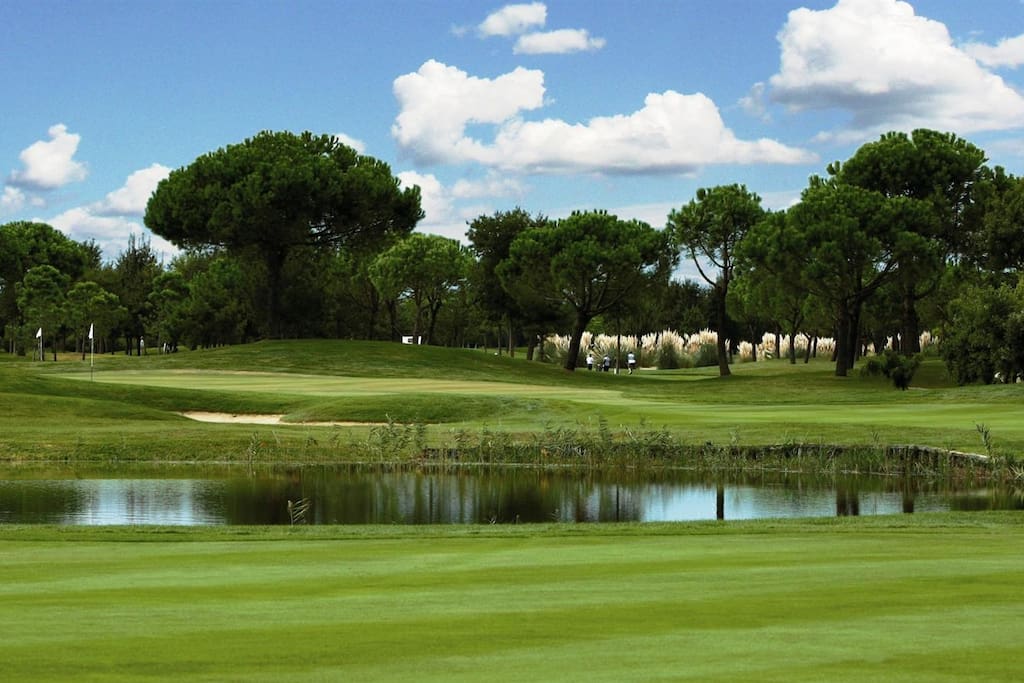 Have a nice tournament or just practice with your family in the GOLF club in Lignano only 6.5 km from the house.