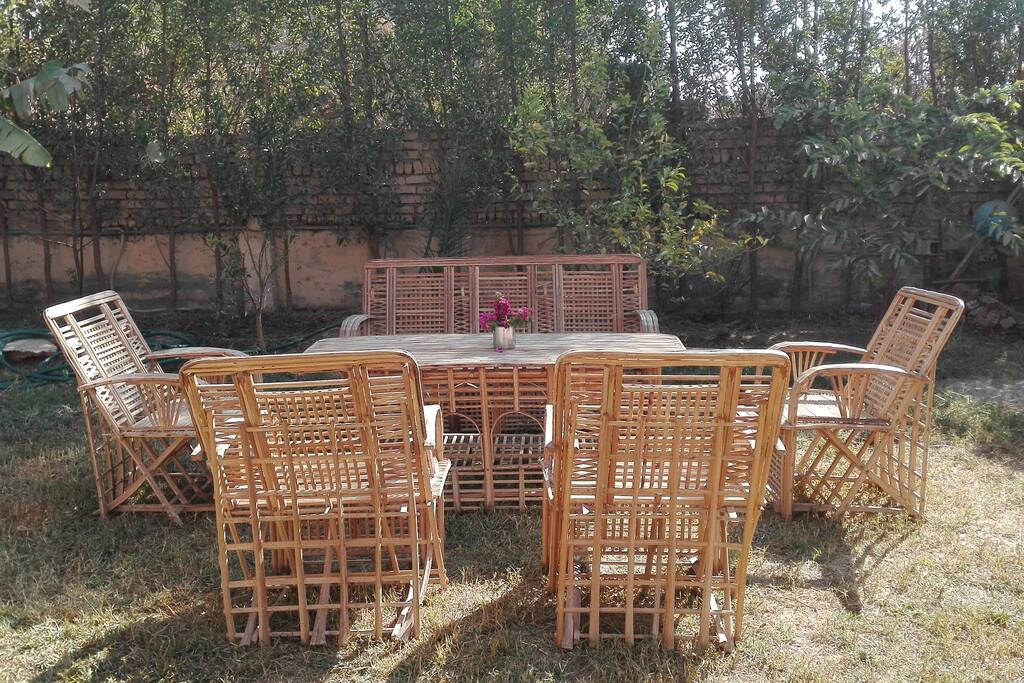 The garden