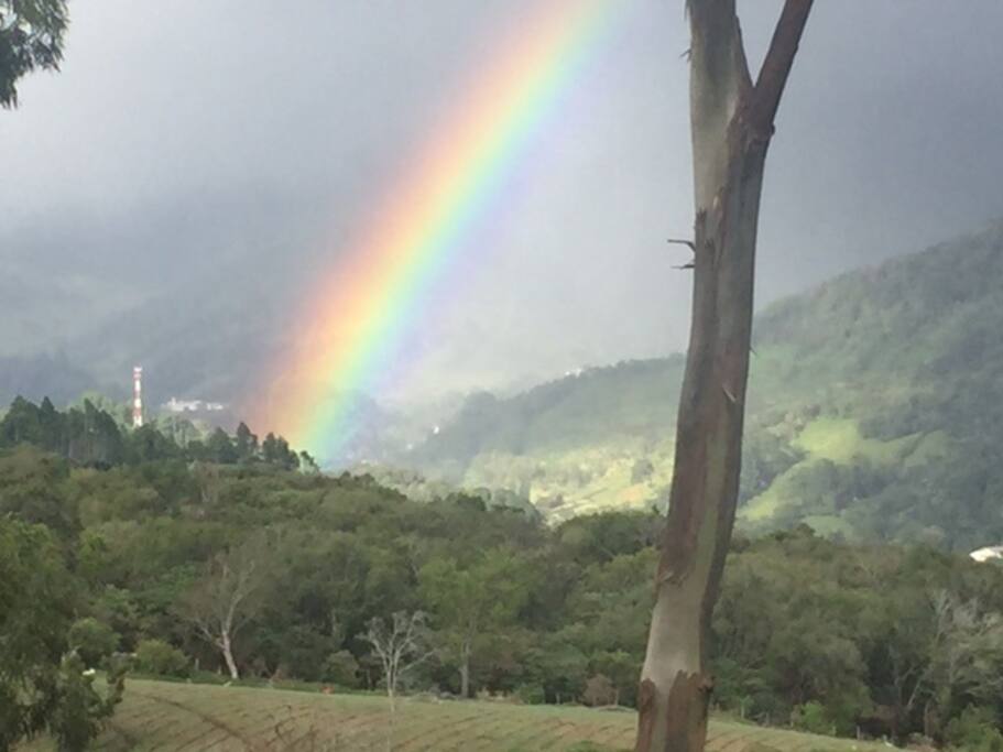 The land of rainbows