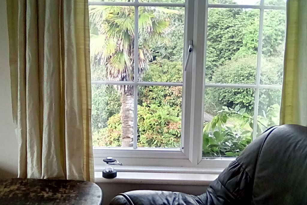 View from guest room window