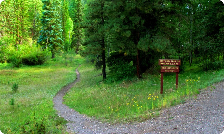 A winding gravel path leads into a lush green forest, flanked by tall trees. Wildflowers dot the meadow alongside the trail, offering vibrant colors against the greenery. A wooden sign indicates the East Fork Trail, inviting exploration of the surrounding natural beauty.