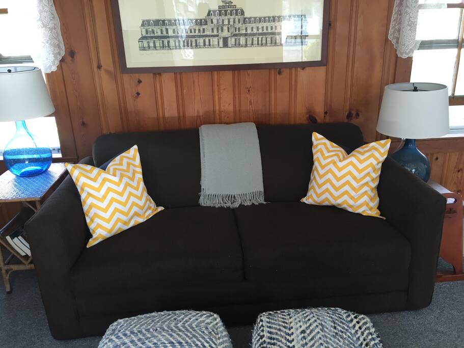 Living Room with Pullout Couch