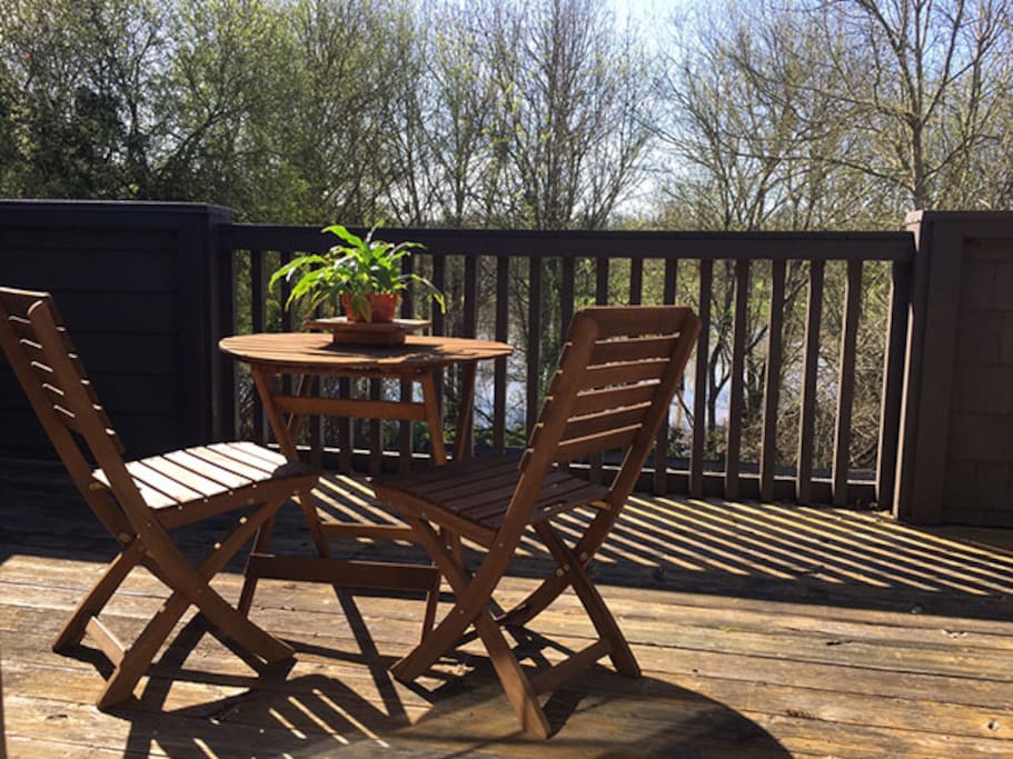 Deck overlooks meadow in summer, pond in winter