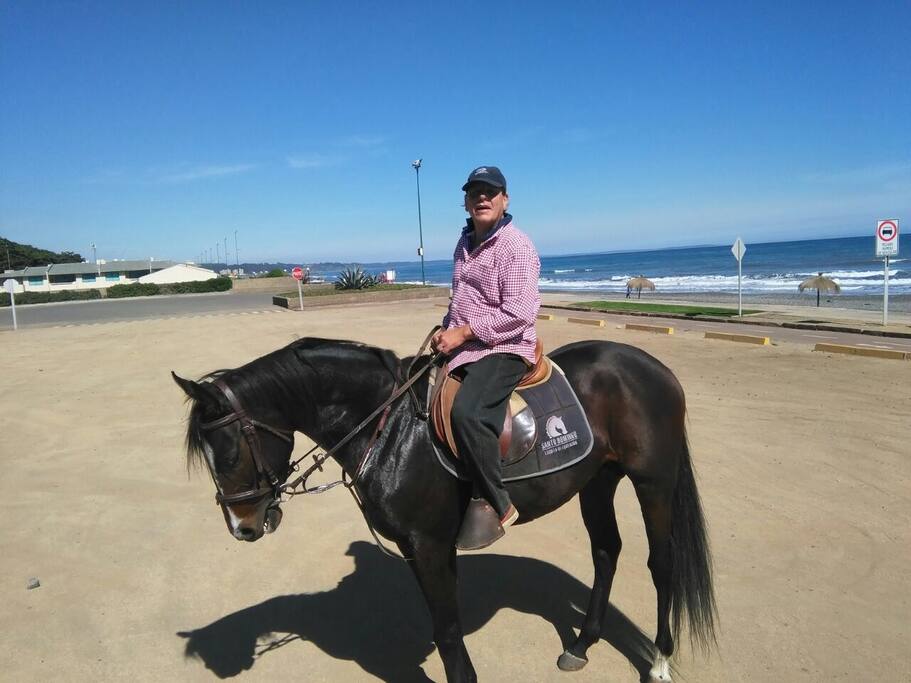 Paseos a Caballo orilla mar