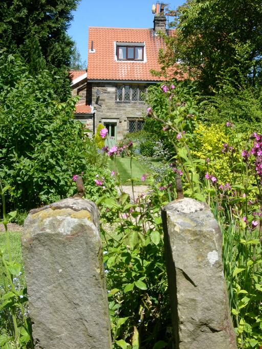 The garden