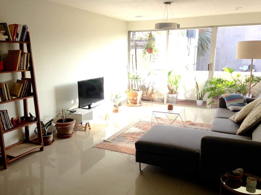Living Room / Sala, lots of natural light