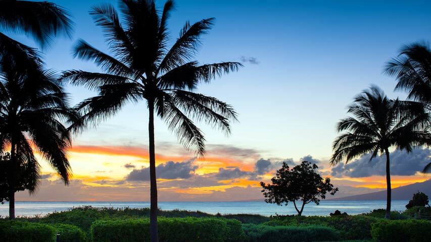 The Westin Nanea 2 Bedroom Ocean Villa gallery image 5