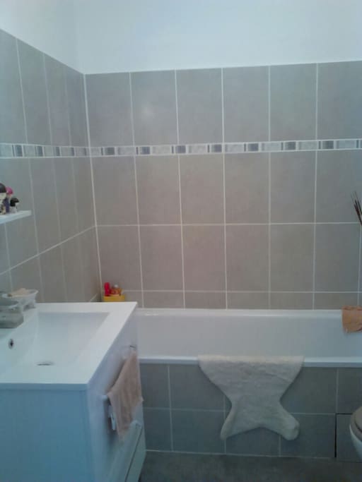 Salle de bain/ toilette