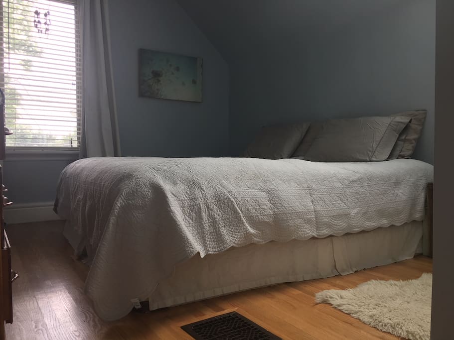 Master bedroom with king size bed, closet and skylight