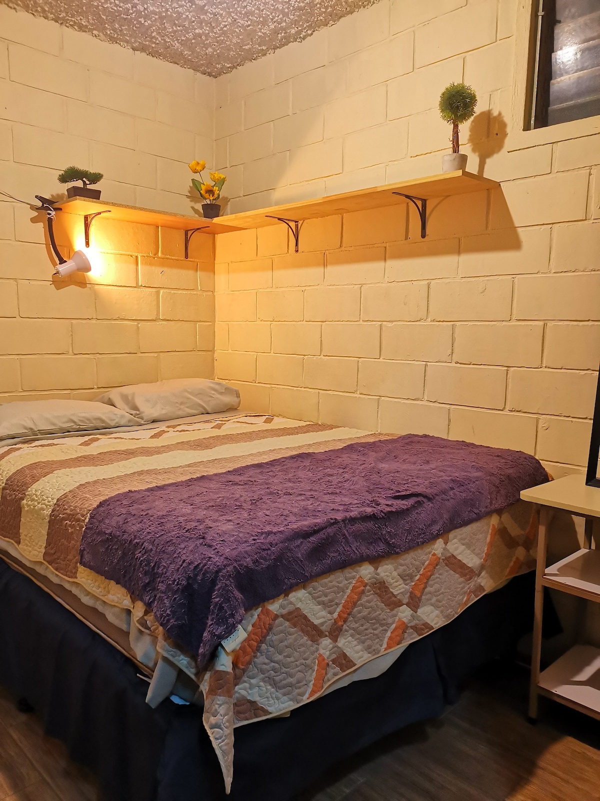 A compact sleeping area features a spacious bed with layered bedding in earthy tones. Above the bed, a shelf holds potted plants for a touch of greenery. Soft lighting is provided by a wall-mounted fixture. A small bedside table completes the functional setup.
