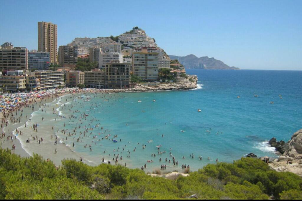 Beach less than 100m from apartment.